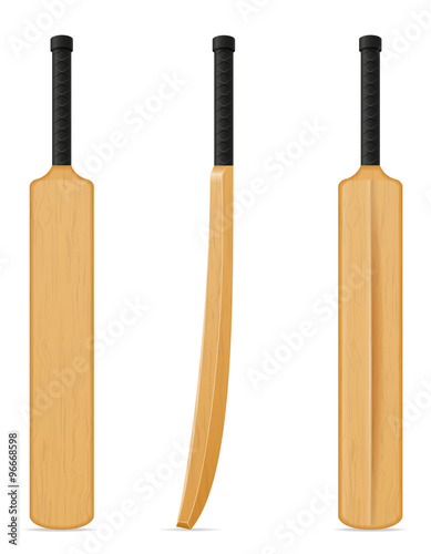 cricket bat vector illustration photo