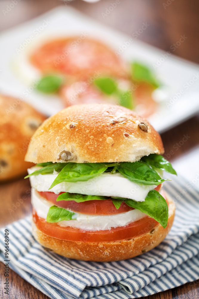 Vegetarian Sandwich Vegetarian Sandwich