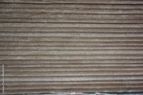 old yellowed pages