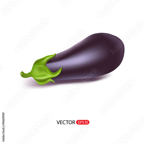 Vector illustration eggplant