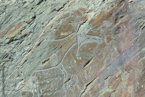 Rock carvings-petroglyphs in Western Siberia