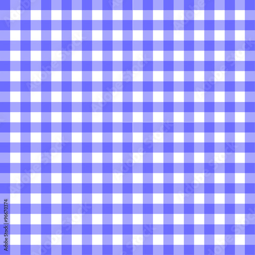 Blue Gingham Material
