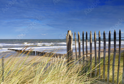 dans les dunes