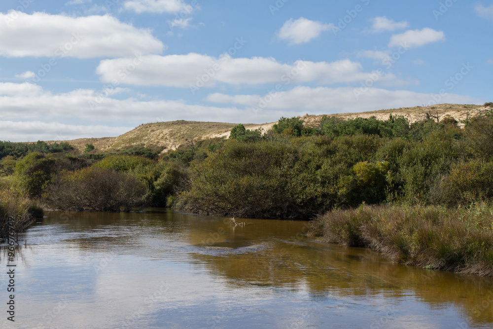 Beautiful summer landscape with river and blue sky