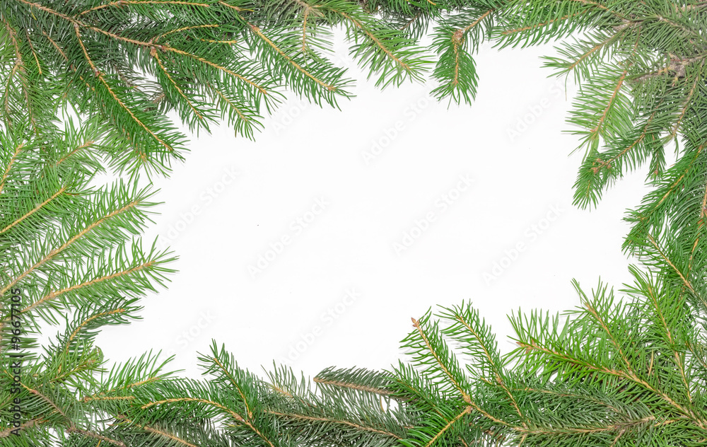 Frame of fir branches