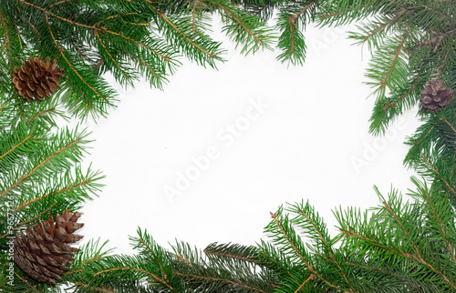 Frame of fir branches