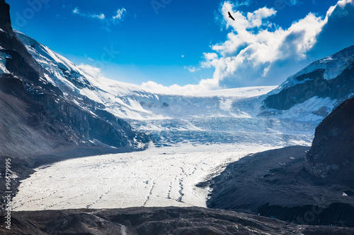 Melting Columbia Icefield photo