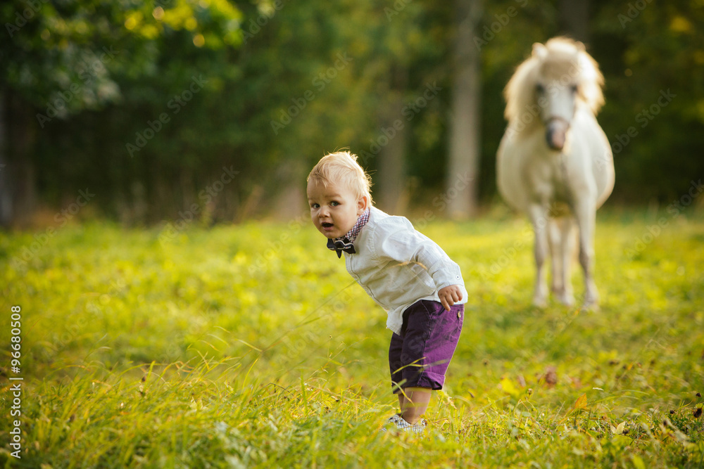 Little boy dressed up in elegant clothes standing in meadow, white pony in the background. Little boy dressed up in elegant clothes standing in meadow, white pony in the background.