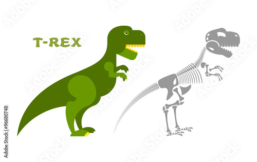 Dinosaur Tyrannosaurus skeleton. Bones and skull t-Rex. Ancient