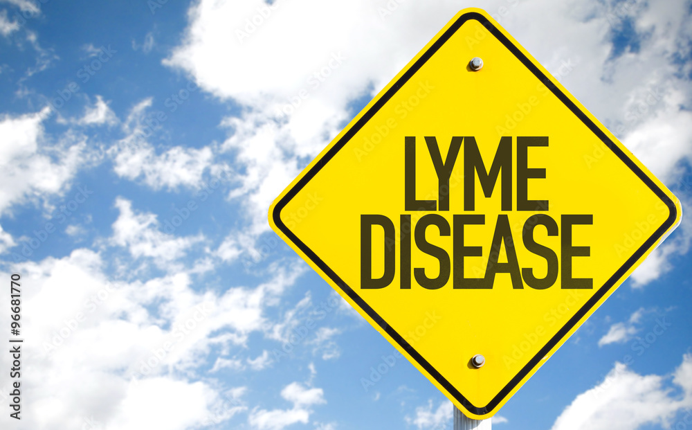 Lyme Disease sign with sky background Lyme Disease sign with sky background