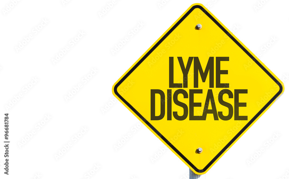 Lyme Disease sign isolated on white background Lyme Disease sign isolated on white background