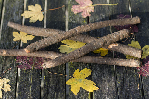 Scorzonera or black salsify. Composition on garden wooden table with autumn leaves.