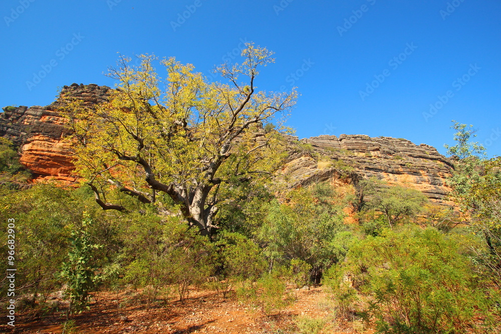 Windjana Gorge, Kimberley, Western Australia Windjana Gorge, Kimberley, Western Australia