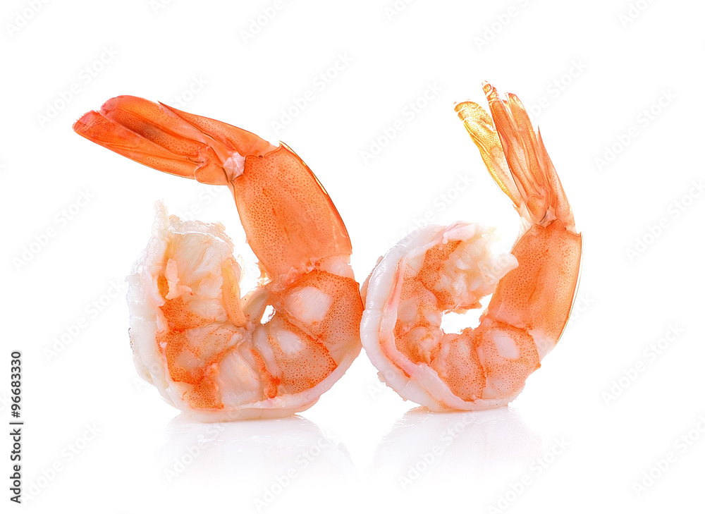 shrimps on a white background