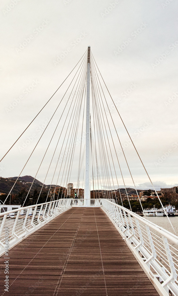 Obraz premium suspension bridge