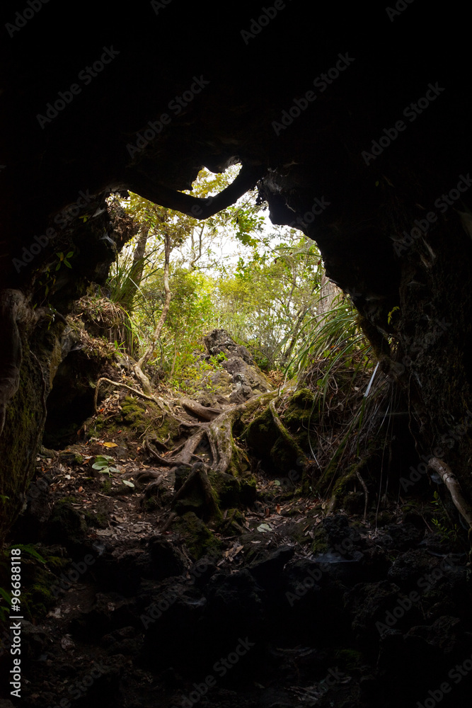 Fototapeta premium Out of the Dark - Dark cave exit leading to a forest.