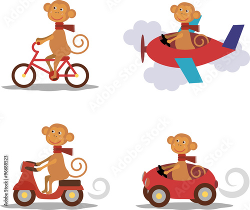 Set - cute monkey with scarf on transport