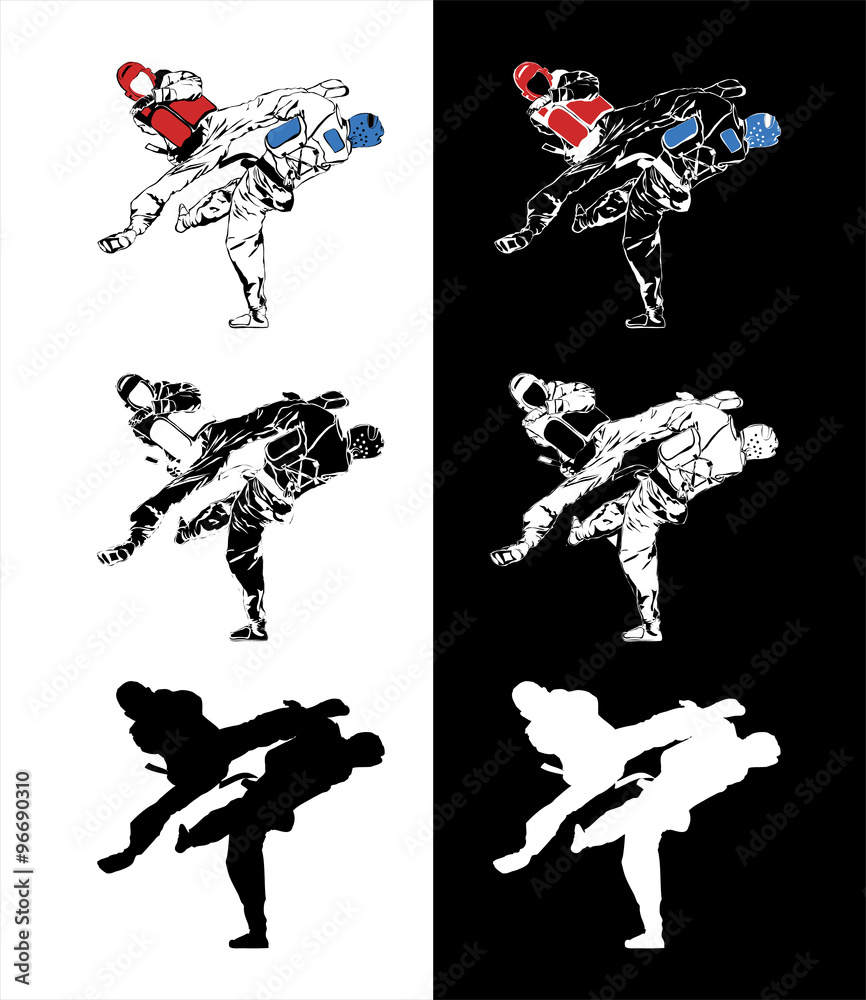 taekwondo fight