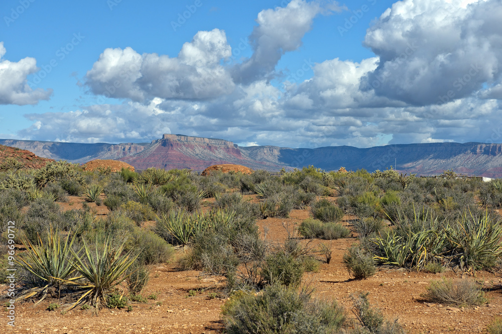 landscape in Grand Canyon National Park, Arizona, United States