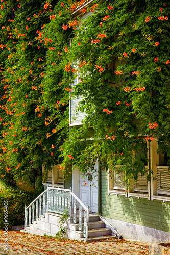 The house wreathed with Campsis creeper on the Street of the Col