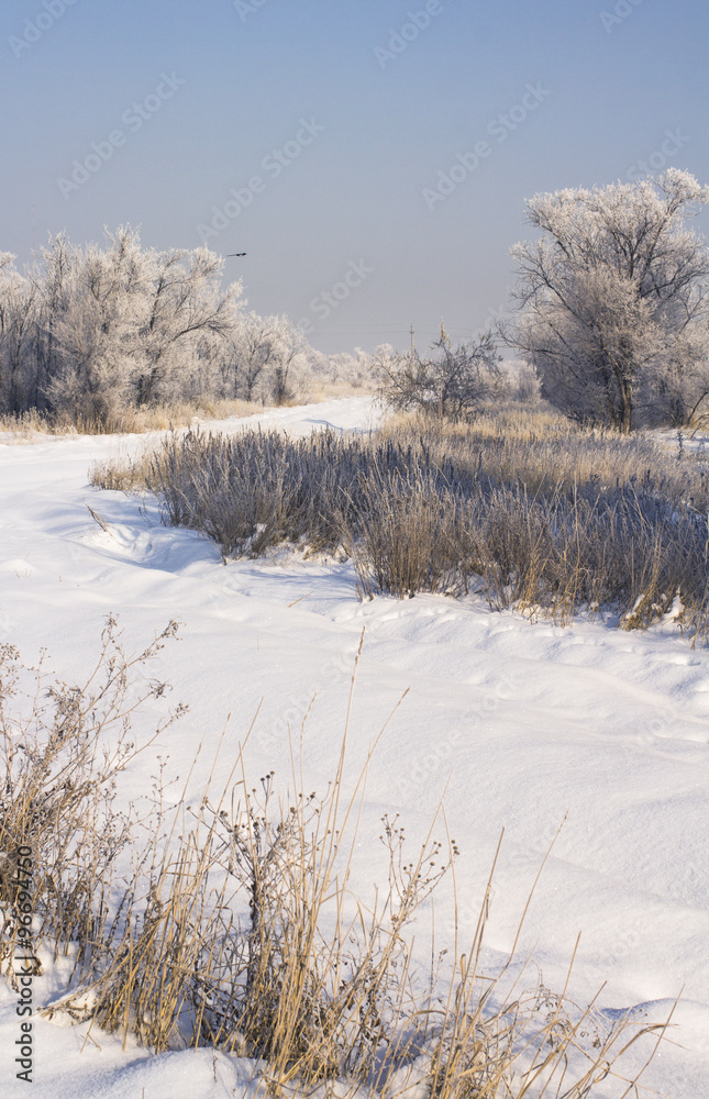 steppe steppe