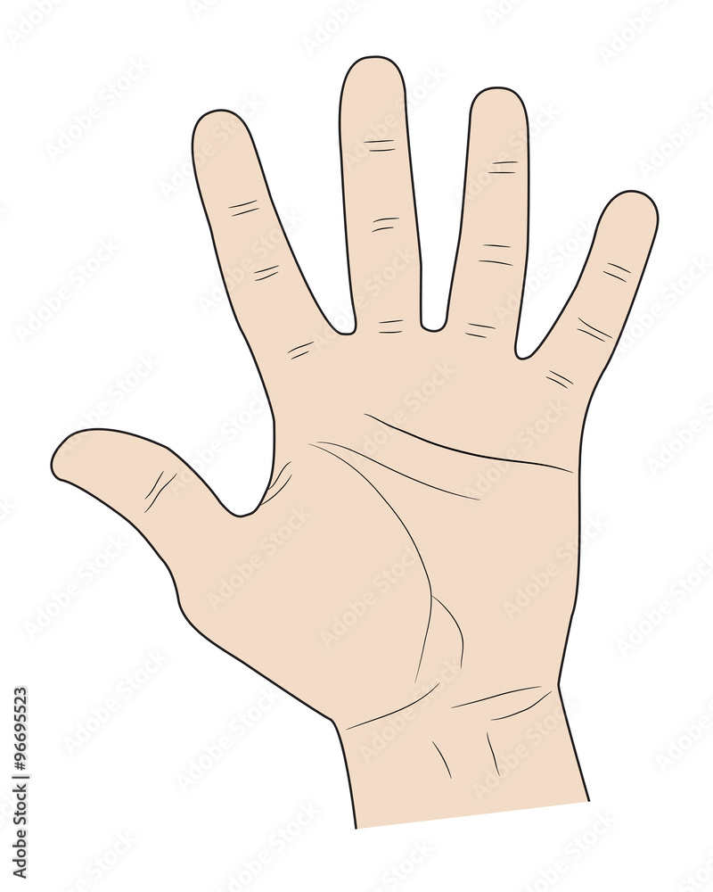 five fingers of a hand five fingers of a hand