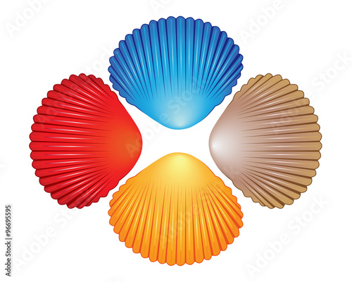 Four different colored seashells