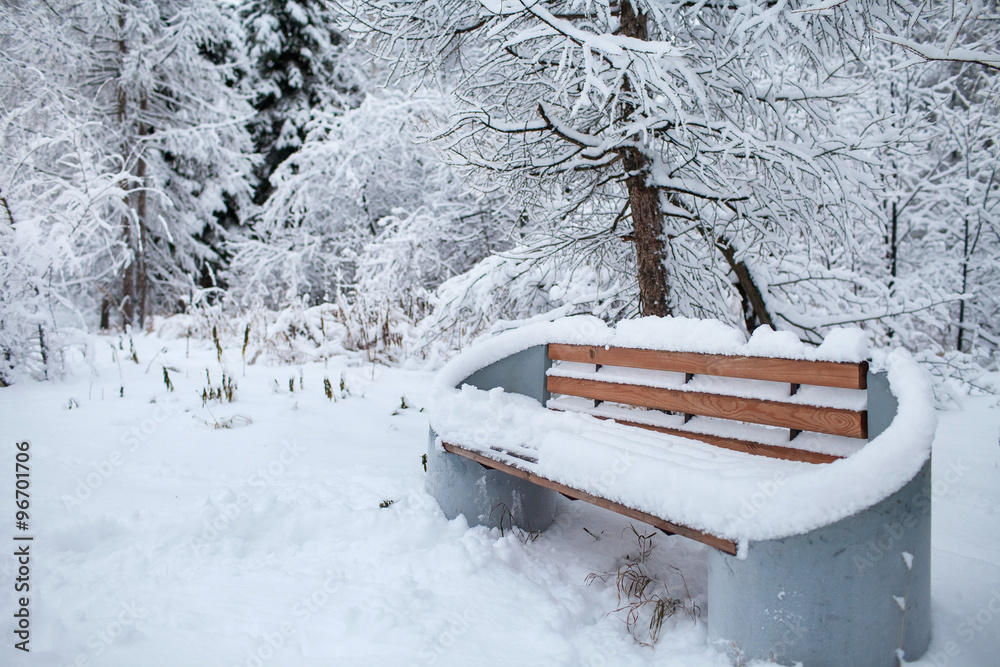 bench covered with snow in the winter forest bench covered with snow in the winter forest