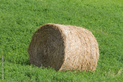 Hay Bale