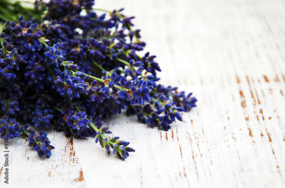 Fototapeta premium bunch of lavender