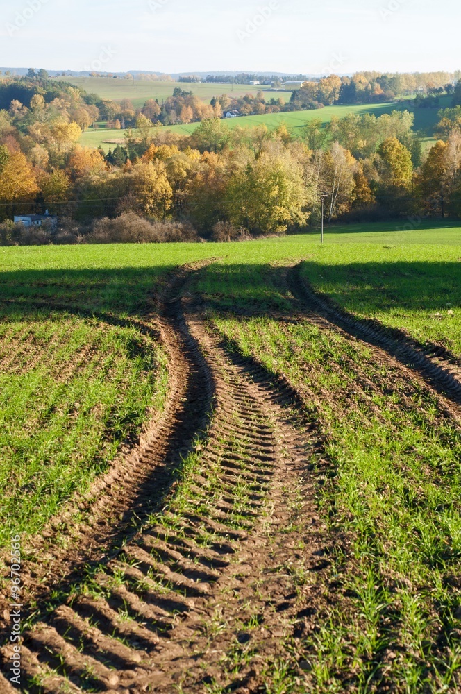 Wheel track in nice countryside autumn landscape