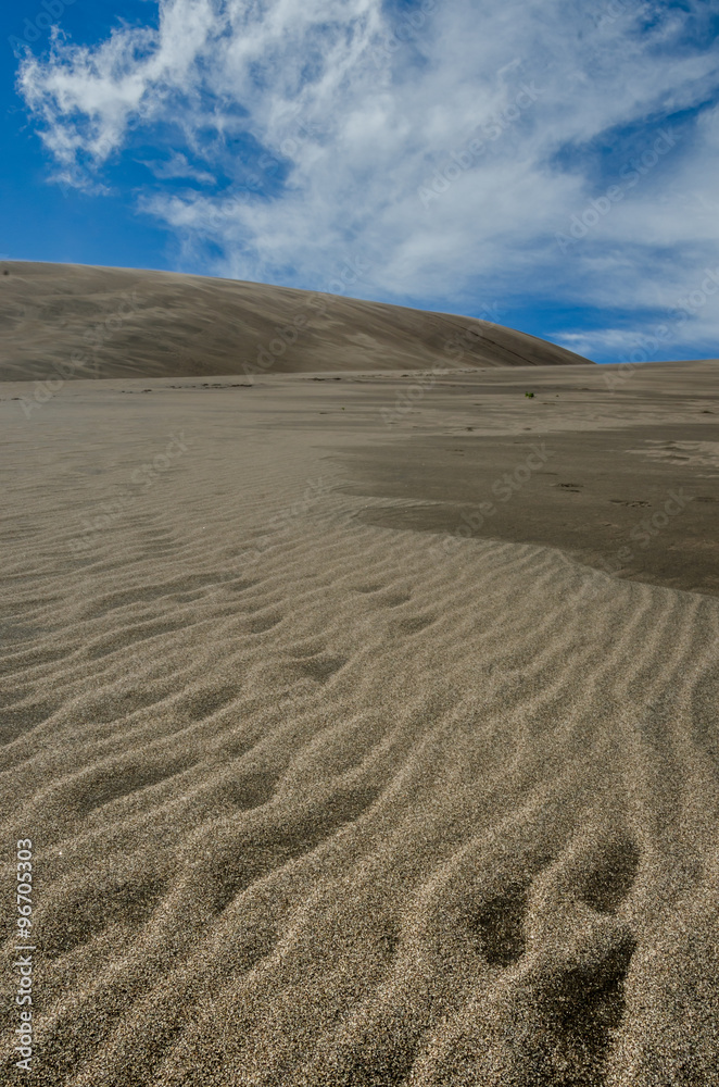 Ripples of Sand Dunes Vertical