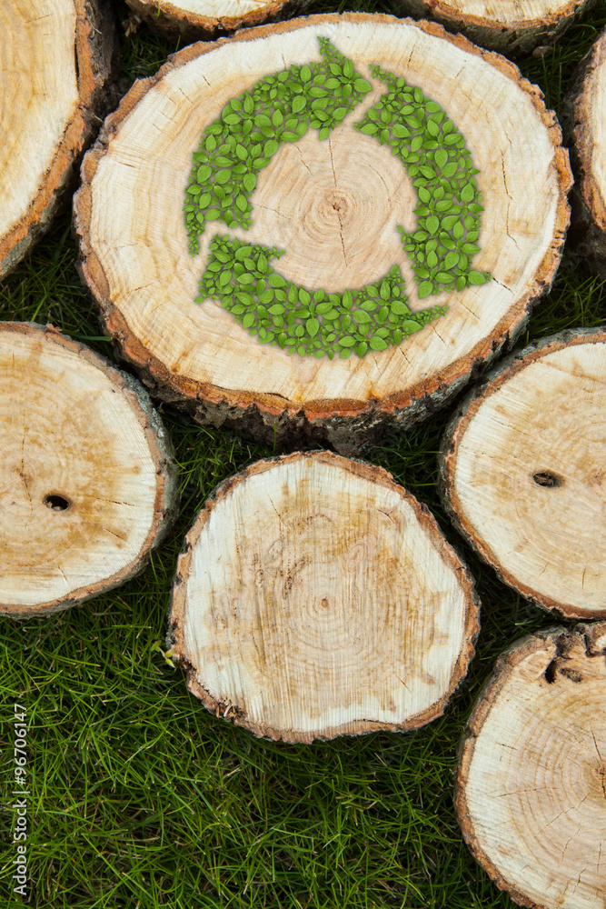 Tree stumps on the grass with recycle symbol