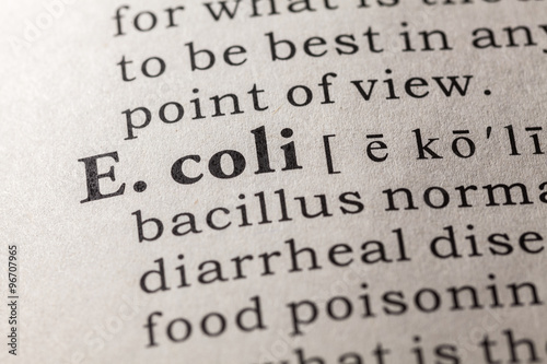 E. coli