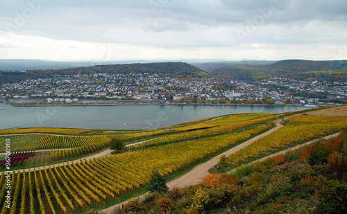 Weinberg bei Rüdesheim - Blick auf Bingen photo