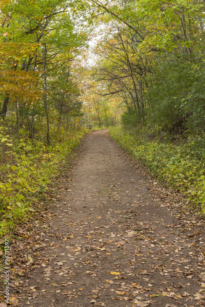 Fall Hiking Trail In The Woods Fall Hiking Trail In The Woods
