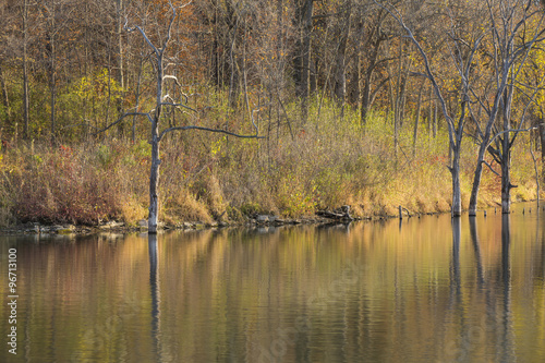 Autumn Lake & Woods Reflections