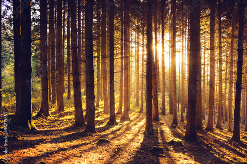 Photos Herbstlandschaft im Schwarzwald