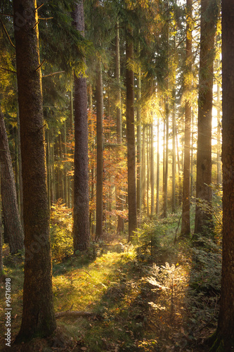 märchenhafte Herbstlandschaft im Schwarzwald