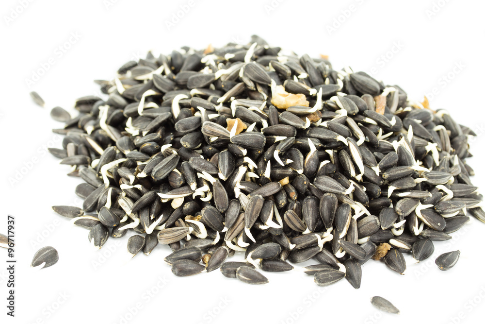 Sprouted grains in isolated on white Sprouted grains in isolated on white
