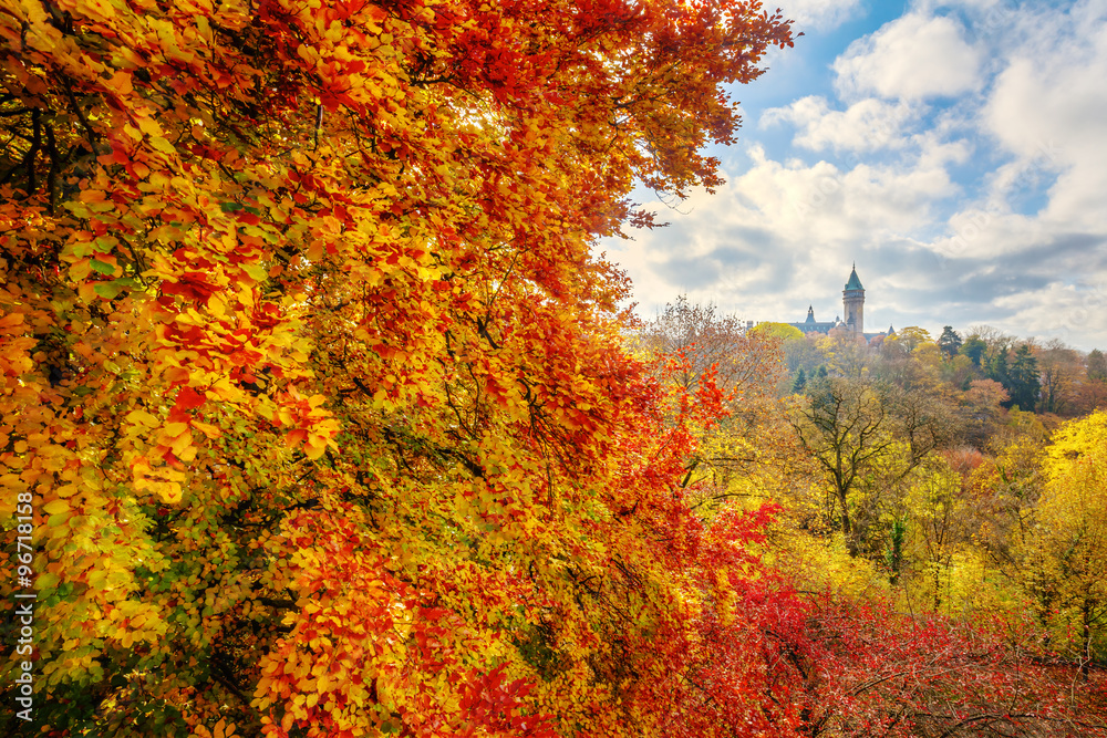 Herbstfärbung in Luxemburg Stadt mit Aussicht auf den Turm der  Banque et Caisse dEpargne de lEtat