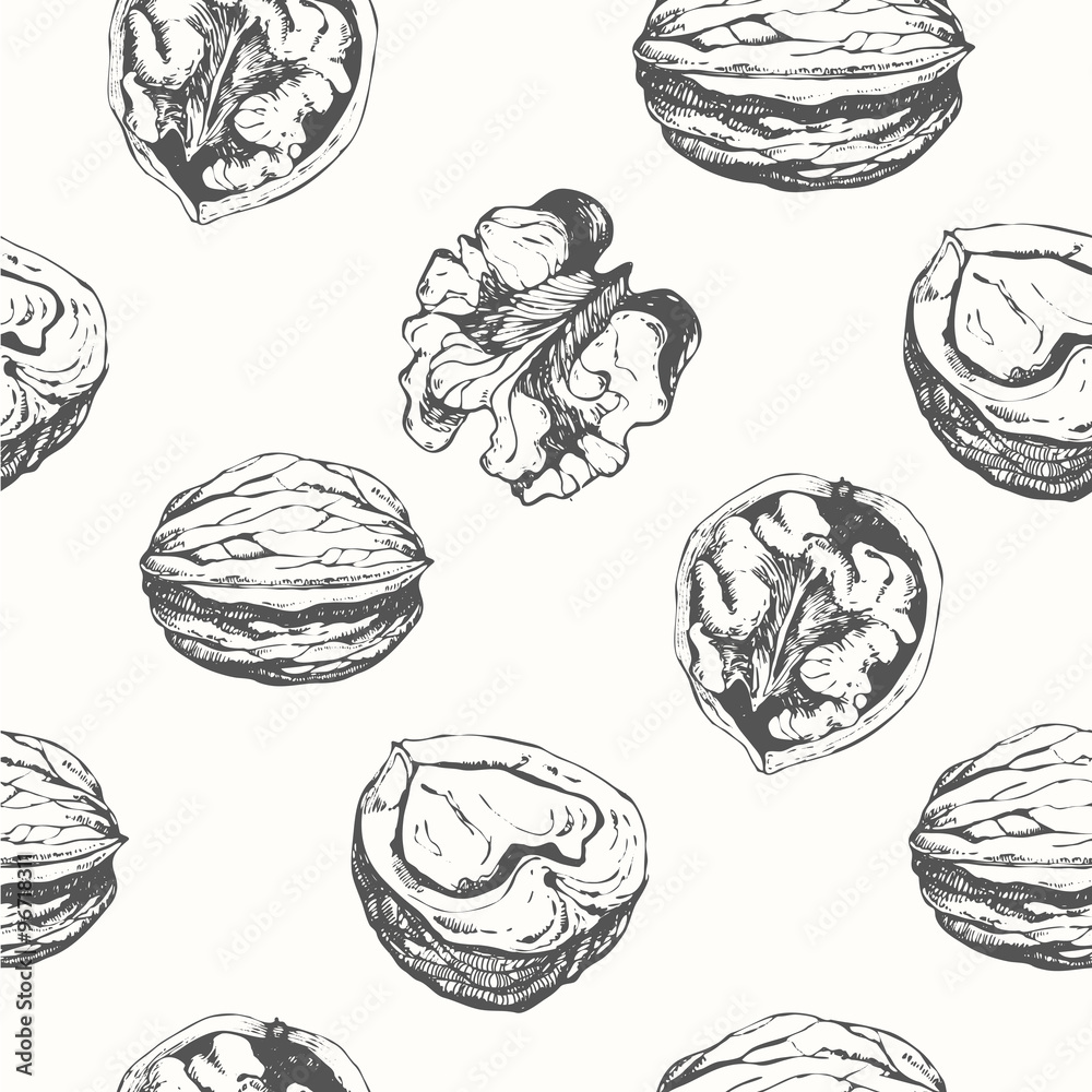 Hand-drawn sketch of walnuts. Seamless nature background. Hand-drawn sketch of walnuts. Seamless nature background.