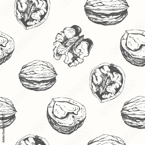 Hand-drawn sketch of walnuts. Seamless nature background. 