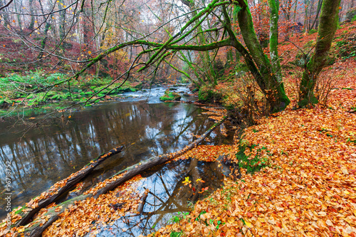 an den Irreler Wasserfällen in der Südeifel, Deutschland photo