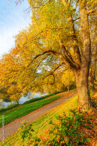 herbstliche Parklandschaft an der Mosel in Trier, Deutschland