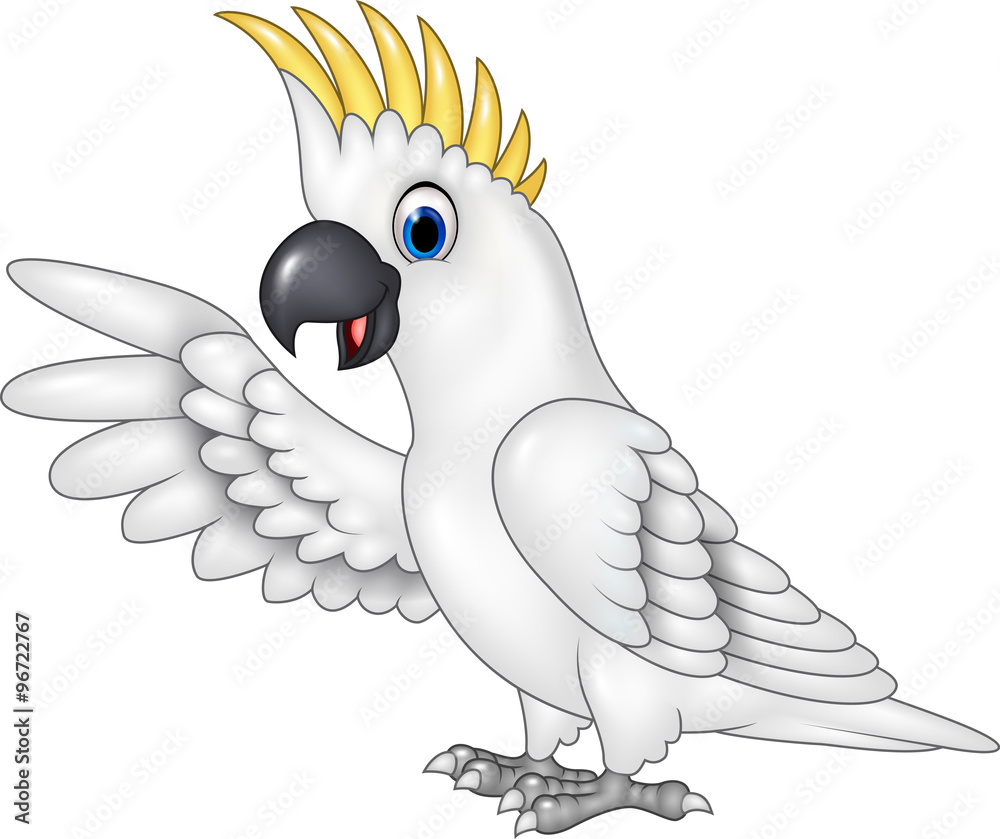 Fototapeta premium Cartoon funny white parrot presenting isolated on white background