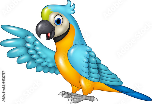 Cartoon funny macaw presenting isolated on white background