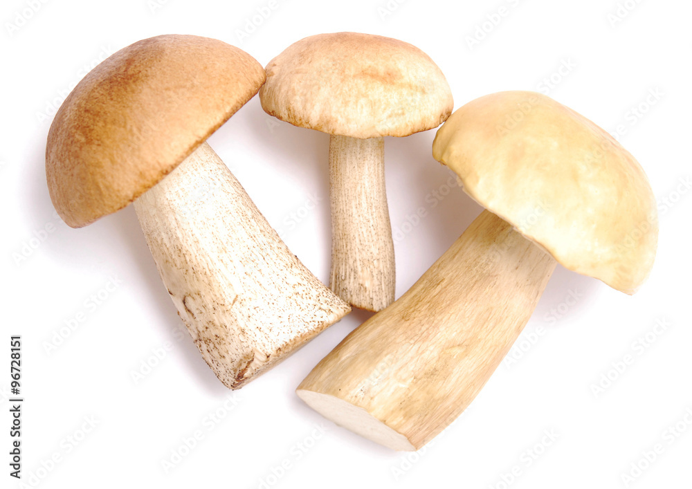 mushrooms