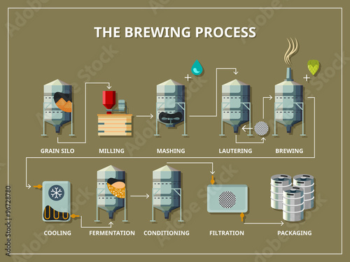 Brewery process infographic in flat style