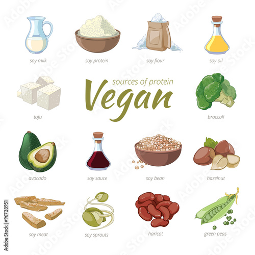 Vegan sources of protein. Plant based protein vector icons in cartoon style